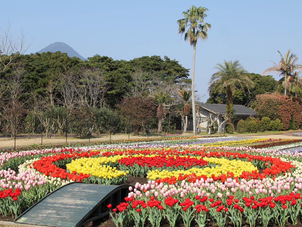 花卉公园鹿儿岛